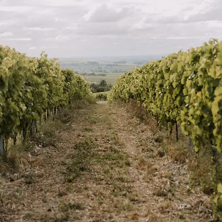 Le Petit Château De Célestine Casa de hóspedes Segonzac (Charente)