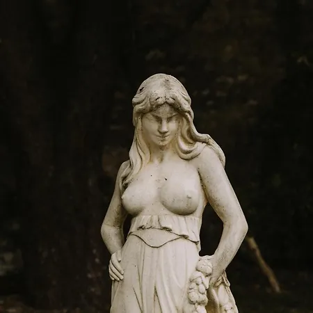 Casa de hóspedes Le Petit Château De Célestine *