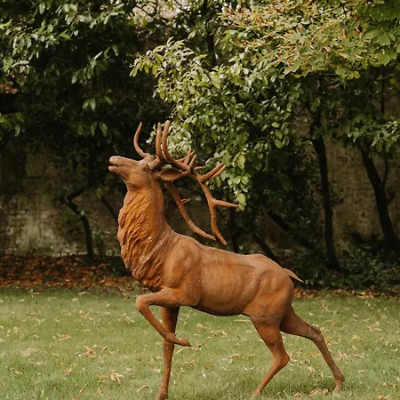 Casa de hóspedes Le Petit Château De Célestine